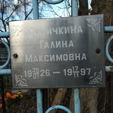 Синичкины