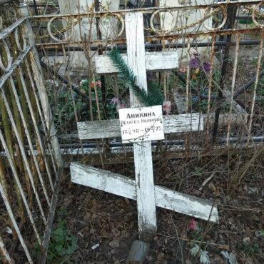 Аникина
