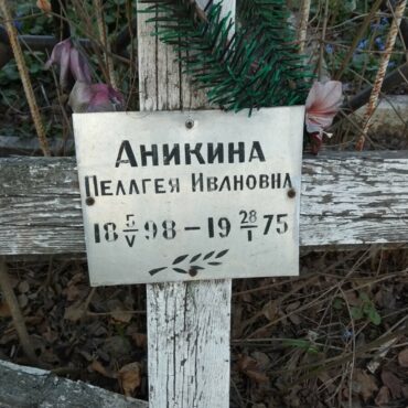 Аникина