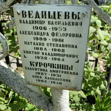 Ведищевы, Курочкины