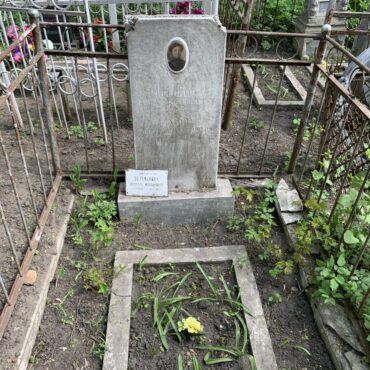 Шитикова, Ильин