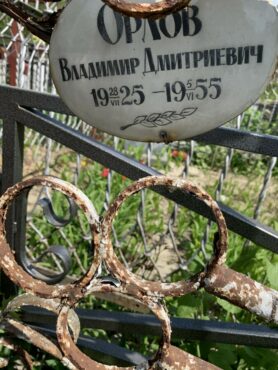 Орлов Владимир Дмитриевич