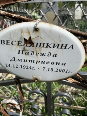 Веселяшкина Надежда Дмитриевна