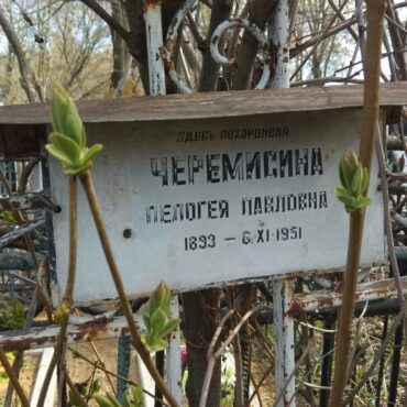 Черемисина Пелогея Павловна