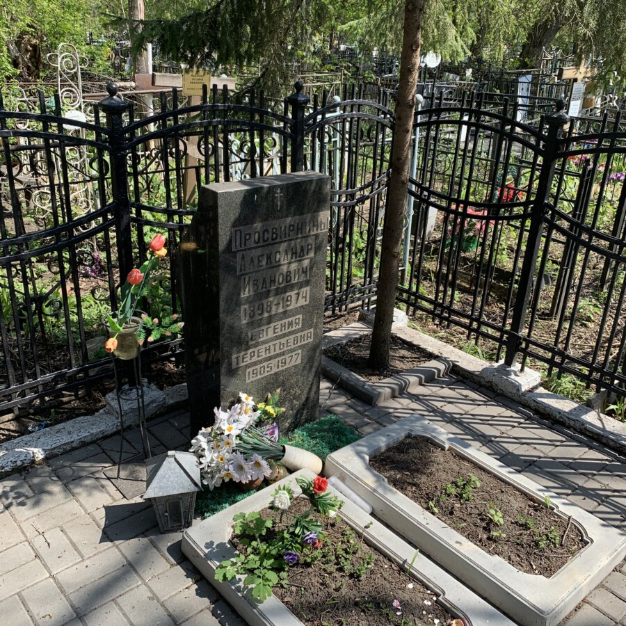 Архив захоронений. Александра Стрельченко могила. Воздвиженское кладбище. Похороны Стрельченко.