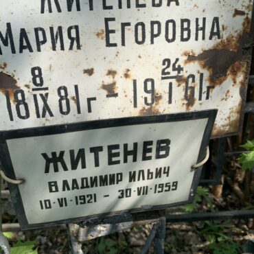 Житеневы