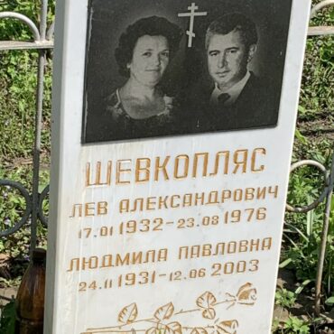 Шевкопляс