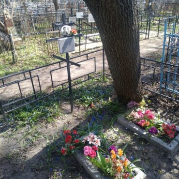 Любимовы
