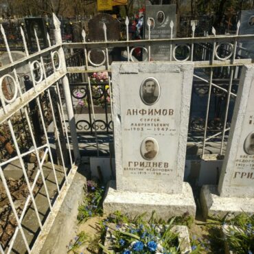 Гриднев, Анфимов