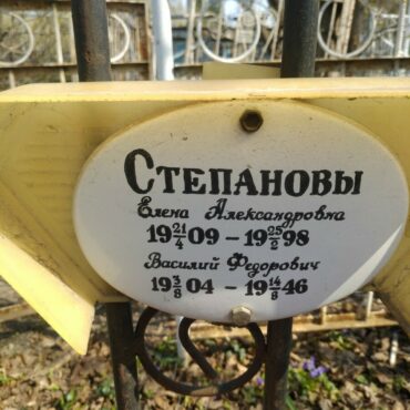 Степановы