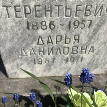 Евсеева Дарья Даниловна