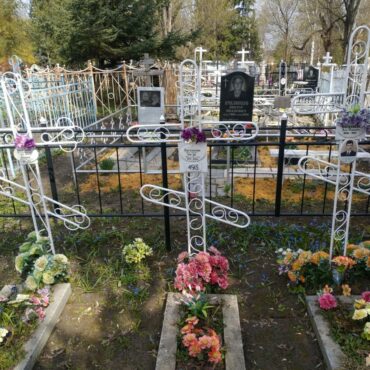Васильевы, Карина, Остоградский