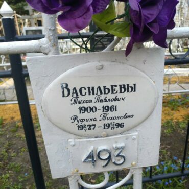 Васильевы