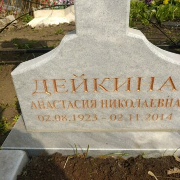 Дейкина Анастасия Николаевна