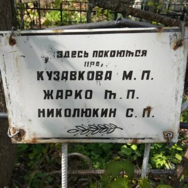 Николюкин С.П