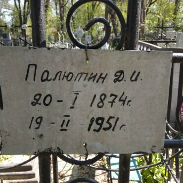 Палютин Д.И