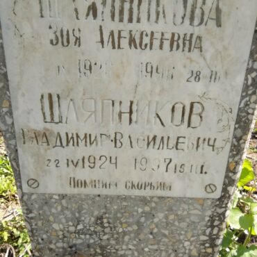 Шляпников Владимир Васильевич