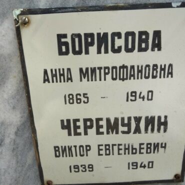 Черемухин Дмитрий Евгеньевич